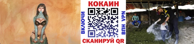 Cocaine Колумбийский  даркнет сайт  Черемхово 