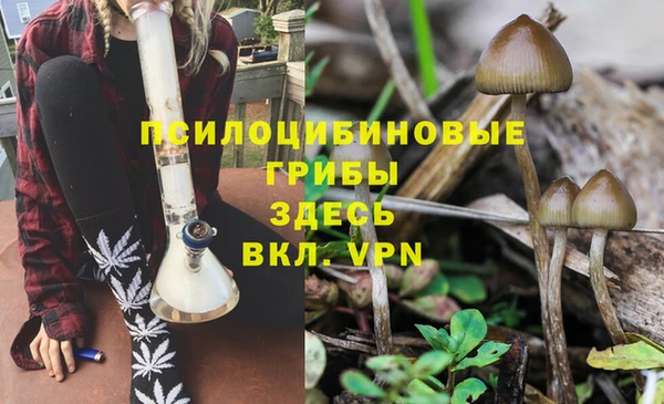 спиды Алексин