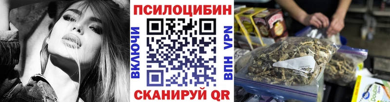 Галлюциногенные грибы GOLDEN TEACHER  купить наркоту  omg ССЫЛКА  Черемхово 