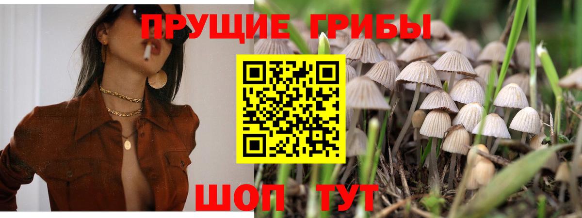Псилоцибиновые грибы ЛСД  Галлюциногенные грибы прущие грибы  Черемхово  Вход с VPN 